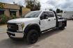 2019 WHITE /GRAY Ford F-450 with an POWERSTROKE 6.7L DIESEL engine, AUTOMATIC transmission, located at 9172 North Fwy, Houston, TX, 77037, (713) 910-6868, 29.887470, -95.411903 - 16,500LB GVWR, WB: 179", RATIO:4.10, CREW CAB, 4X4, 9FT FLATBED, 96" WIDE, GOOSENECK/BUMPER PULL HITCH, REVERSE CAMERA , POWER WINDOWS, LOCKS, & MIRRORS - Photo#0